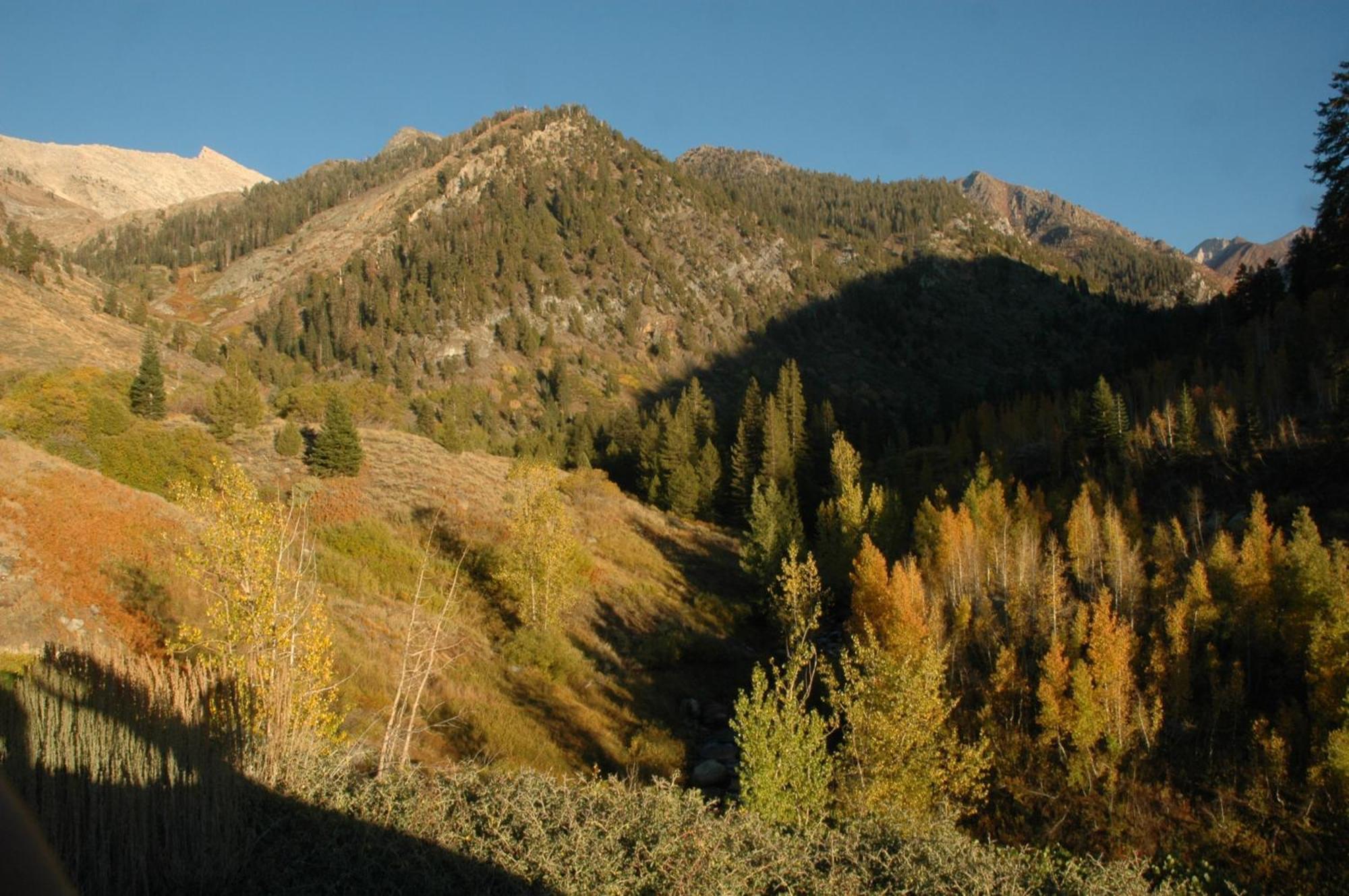 Silver City Mountain Resort Три-Риверс Экстерьер фото